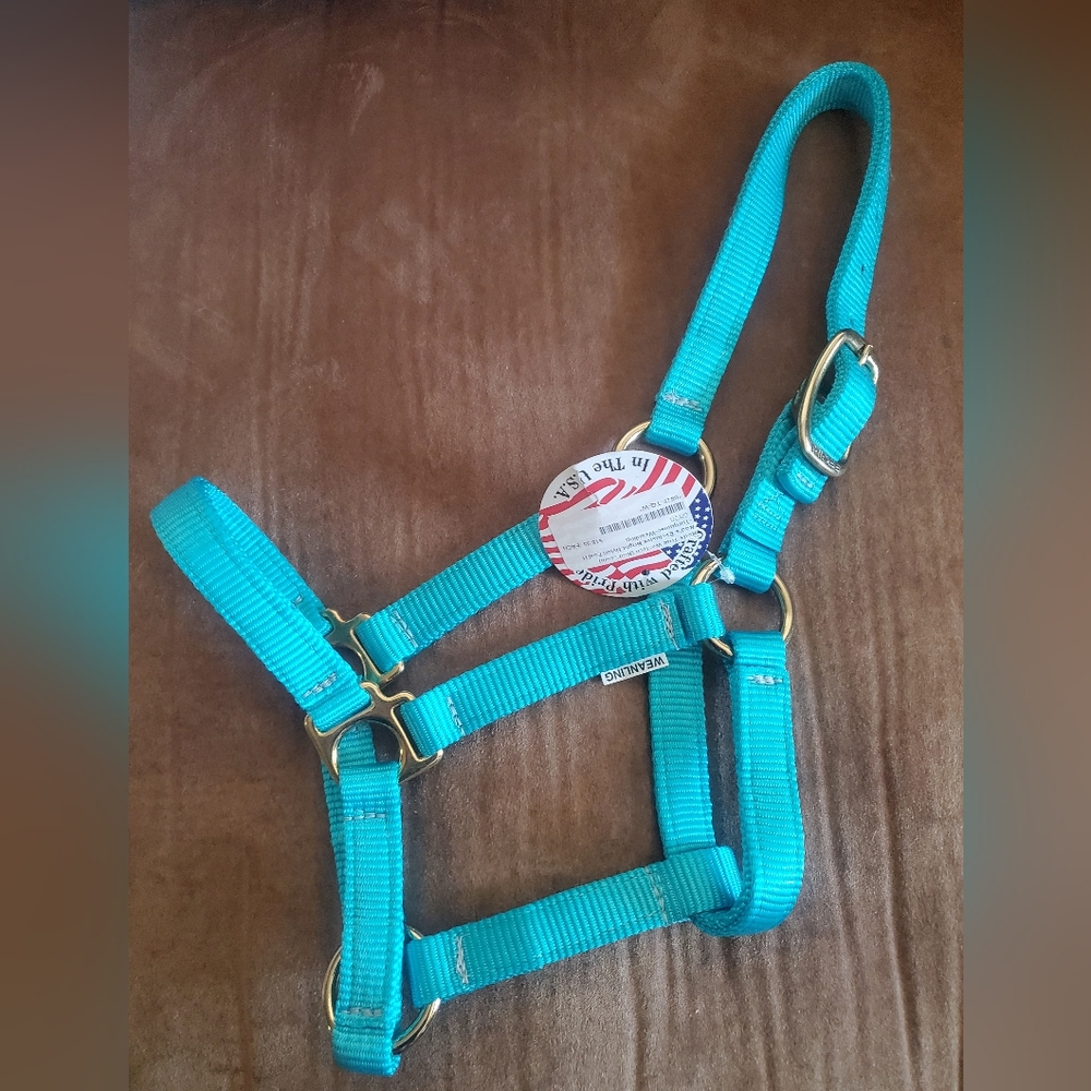 Turquoise Weanling/small pony Halter